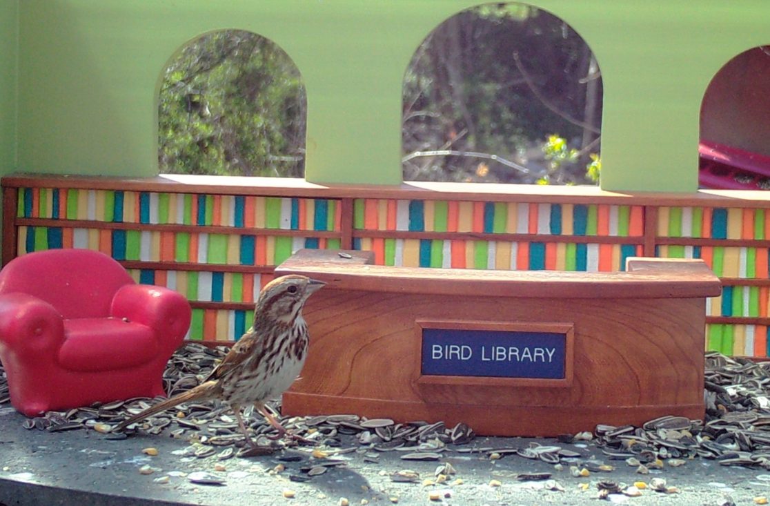 bird-library