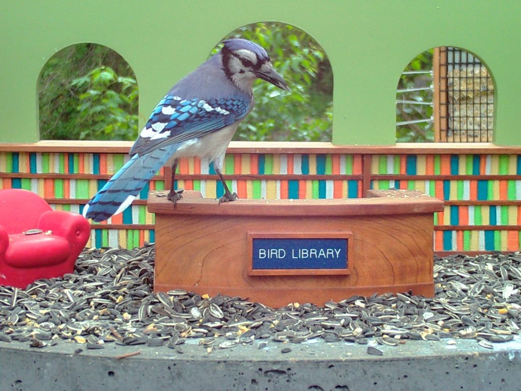 Blue Steel Bird Library