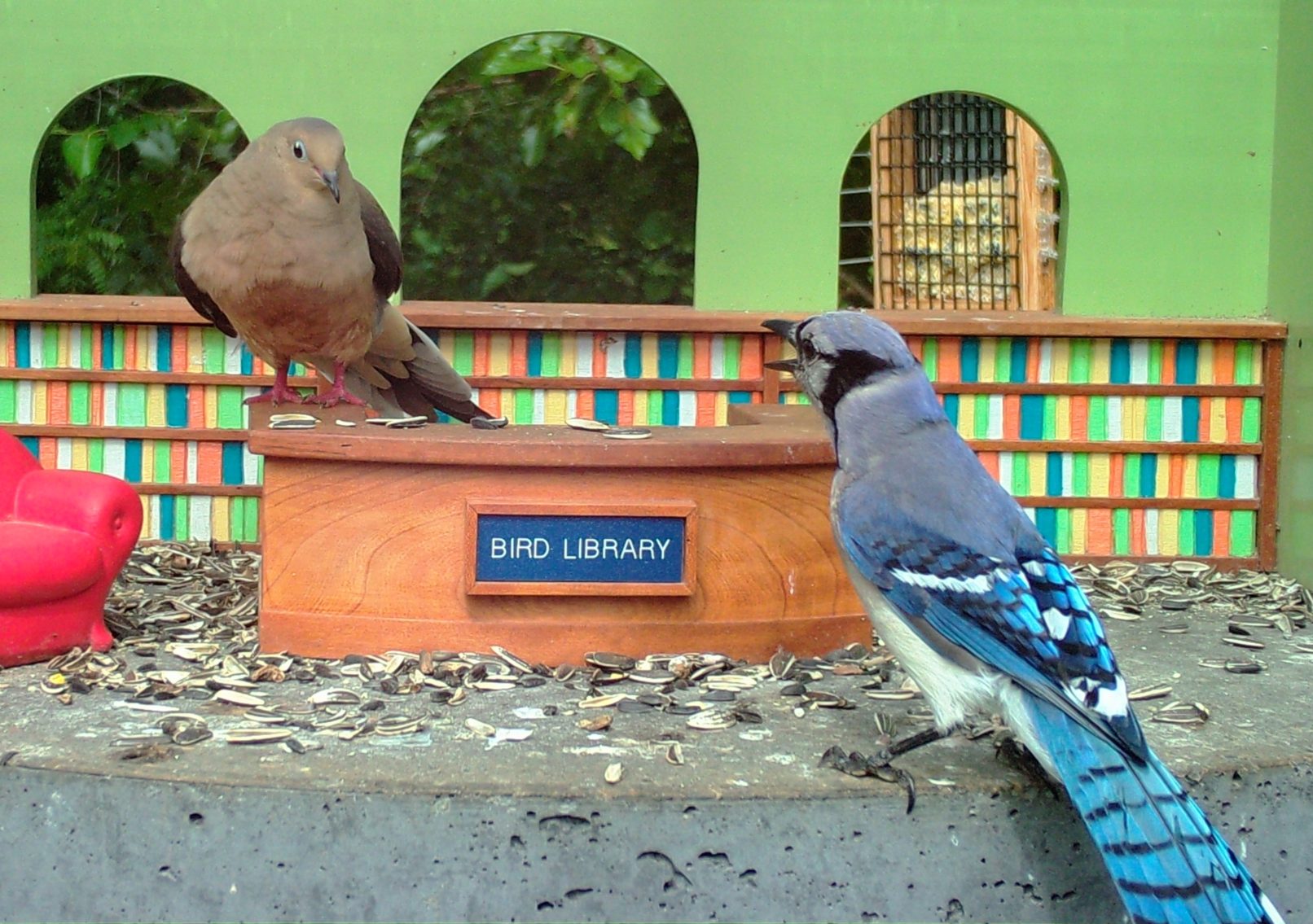 dirty-bird-bird-library